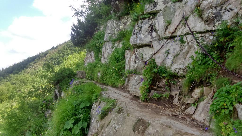 Agroturystyka Lesny Zakatek Stryszawa Exterior foto