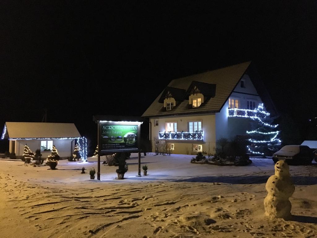 Agroturystyka Lesny Zakatek Stryszawa Exterior foto